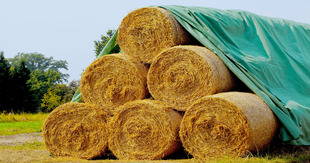 Bale Covers